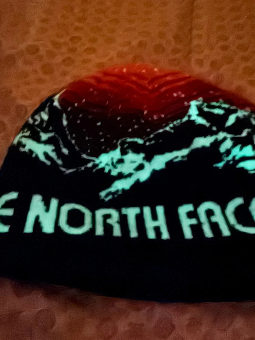 The North Face Beanie kids